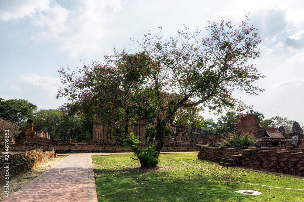 Wat Mahathat Prang flower tree