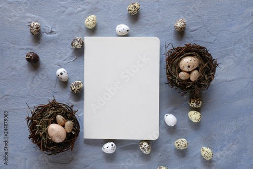  Easter concept.Decorative Easter quail eggs and  on a gray backgroundtop view, copy space.Easter holiday. Spring season photo