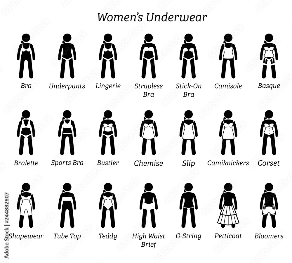Vetor do Stock: Women underwear, lingerie, and undergarments