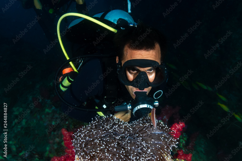 SCUBA divers exploring a tropical coral reef SCUBA divers exploring a tropical coral reef