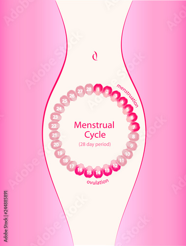 Menstrual cycle.Female silhouette.Pink roses petals.