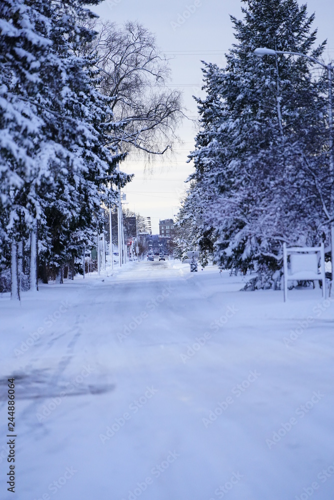 Wisconsin Winter Wonder Land