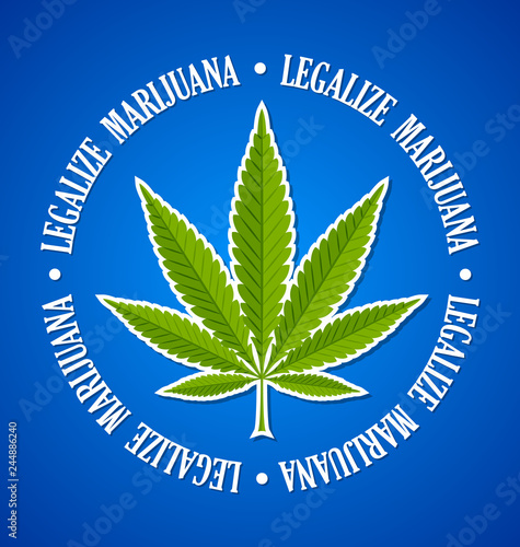 Legalize marijuana hemp (Cannabis sativa or Cannabis indica) leaf on blue background