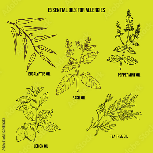 Essential oils fot allergy treatment