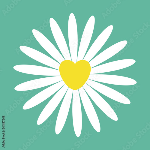 Fototapeta Naklejka Na Ścianę i Meble -  White daisy chamomile icon. Cute flower plant collection. Yellow heart center. Valentines day Love card. Camomile Growing concept. Flat design. Green background. Isolated.