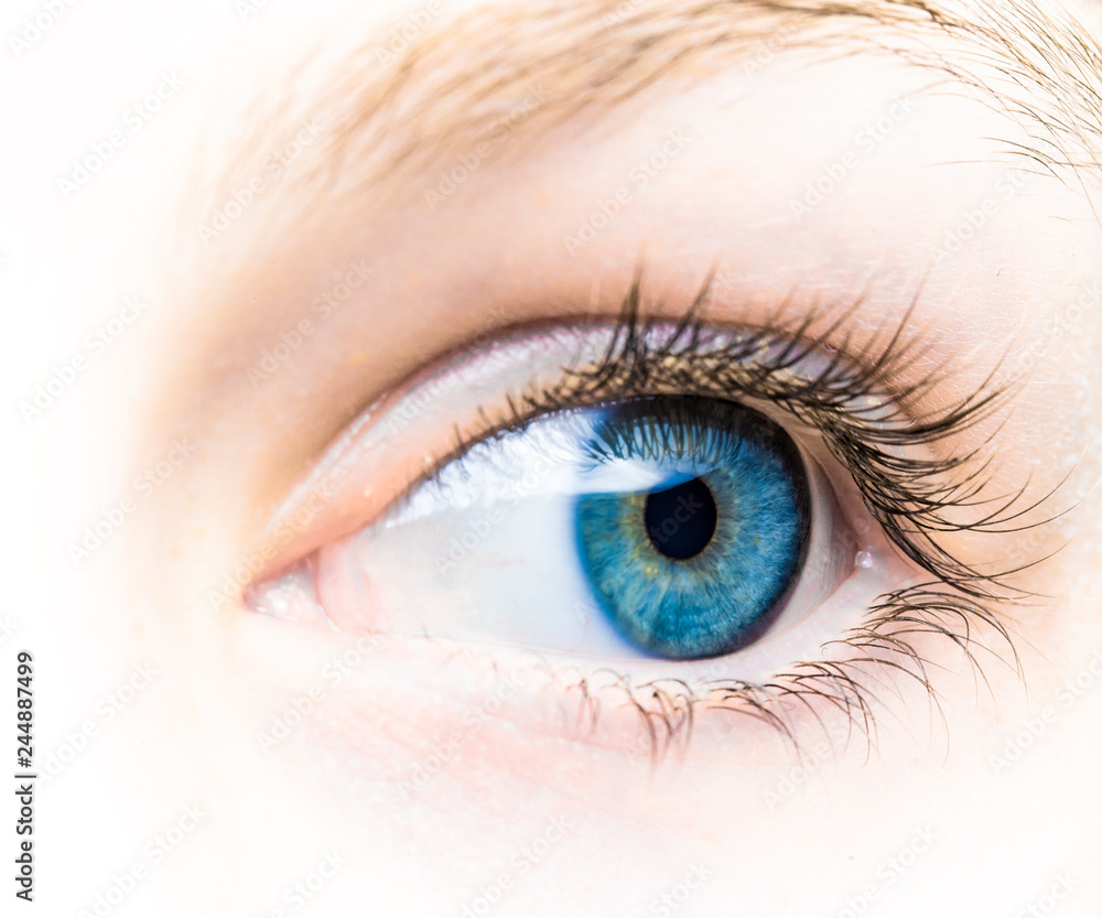 Auge Auge