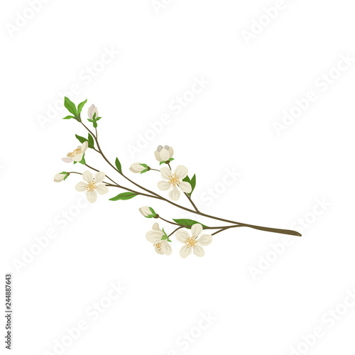 Branch with small fresh flowers and green leaves. Twig of apple tree. Nature theme. Detailed flat vector icon