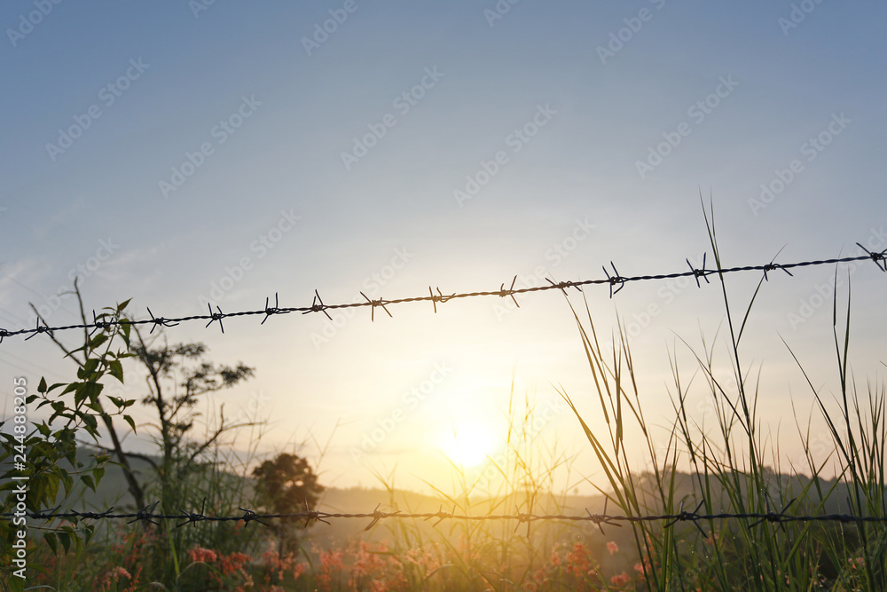 Obraz premium Sunset over fields with barbed wire fences.