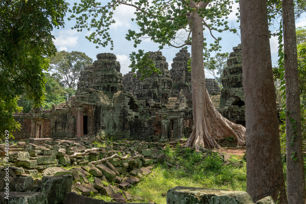 Stone temple rear entrance framed by trees Stone temple rear entrance framed by trees