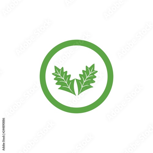 green leaf in the circle llogo vector