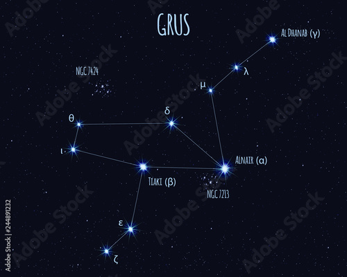 Grus (The Crane) constellation, vector illustration with the names of basic stars against the starry sky 