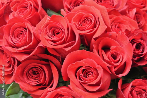 Beautiful flowers close-up