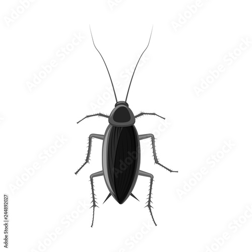 Isolated object of insect and fly sign. Set of insect and element vector icon for stock.