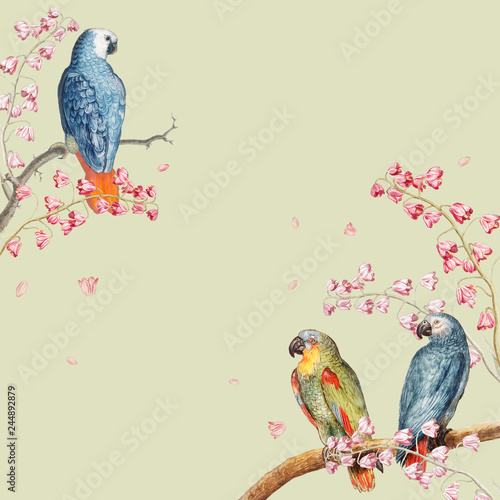 Parrots mockup border illustration