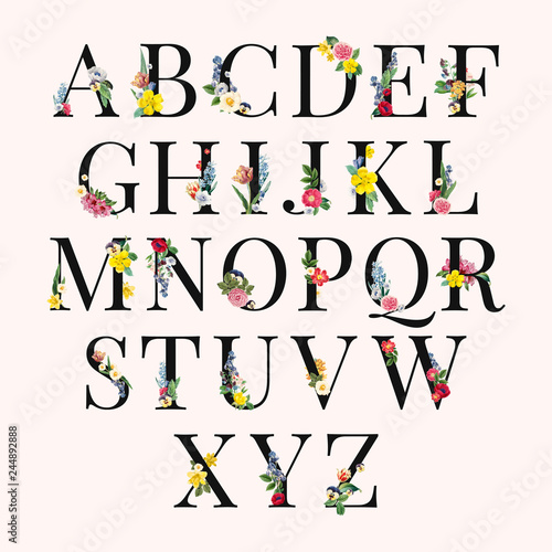 Alphabet floral background illustration