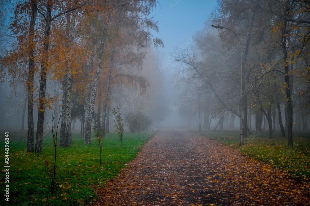 Park in the fog. Ukraine