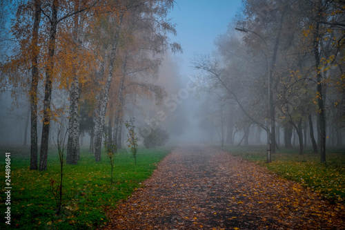 Park in the fog. Ukraine