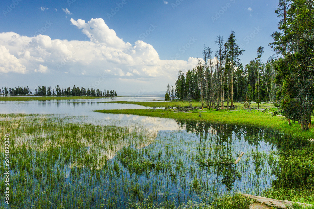 Pelican Creek, Yellowstone National Park, Wyoming, United States