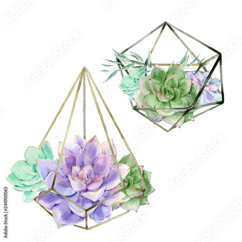 Set of watercolor vintage succulents florarium glass vase. Colorful miniature mexican cactus illustrations on white background in vector format. Hand drawn green plants collection for office indoor.