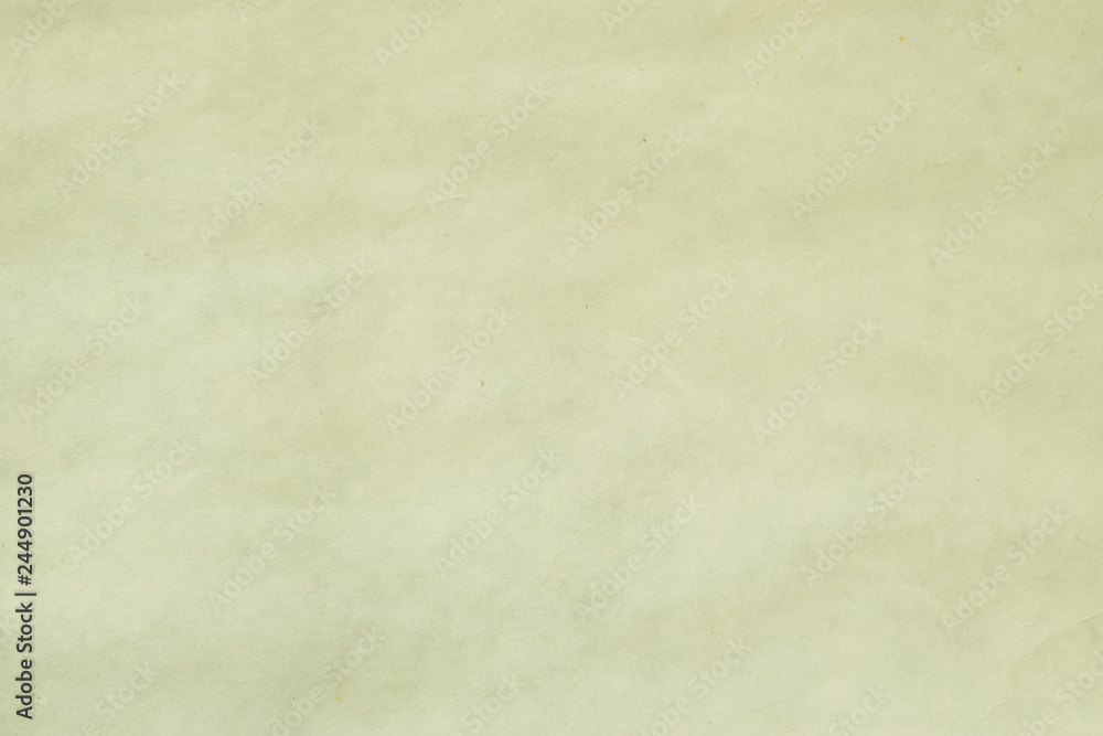 Light green tone water color paper texture background Light green tone water color paper texture background