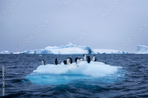 Fotografi Snow, ice, glaciers, ocean water, clouds and penguins - a typical scene for Anta
