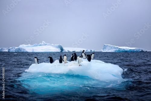 Snow, ice, glaciers, ocean water, clouds and penguins - a typical scene for Antarctica tourism