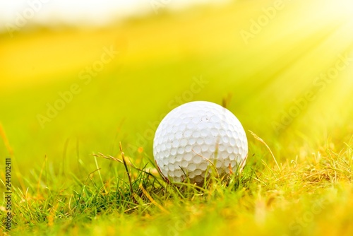 Fotografía golf ball on green grass