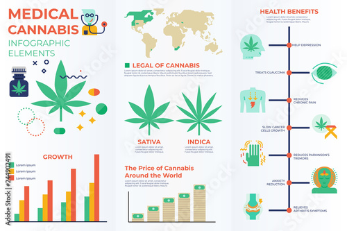 Medical cannabis infographic elements