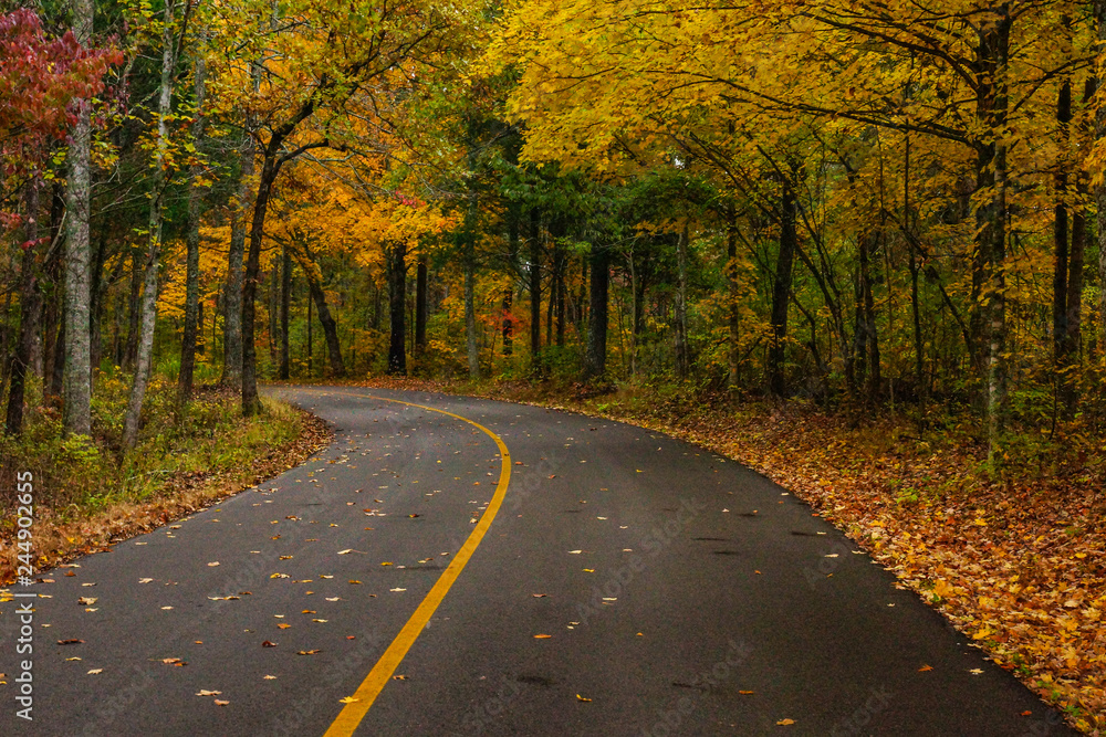 Flint Ridge Road, Mammoth Cave National Park, Kentucky, United States