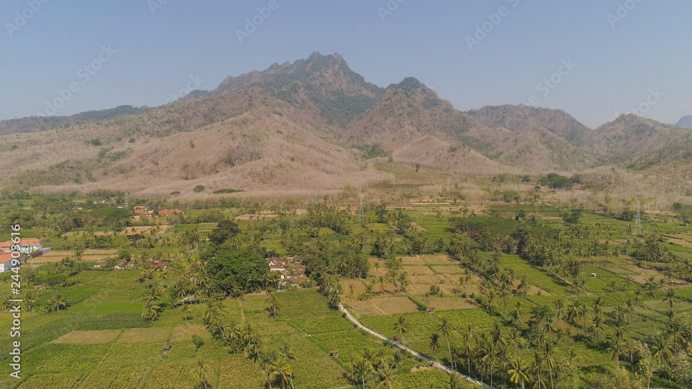 aerial view agricultural farmland with sown green,corn, tobacco field in countryside backdrop mountains. agricultural crops in rural area Java Indonesia. Land with grown plants of paddy