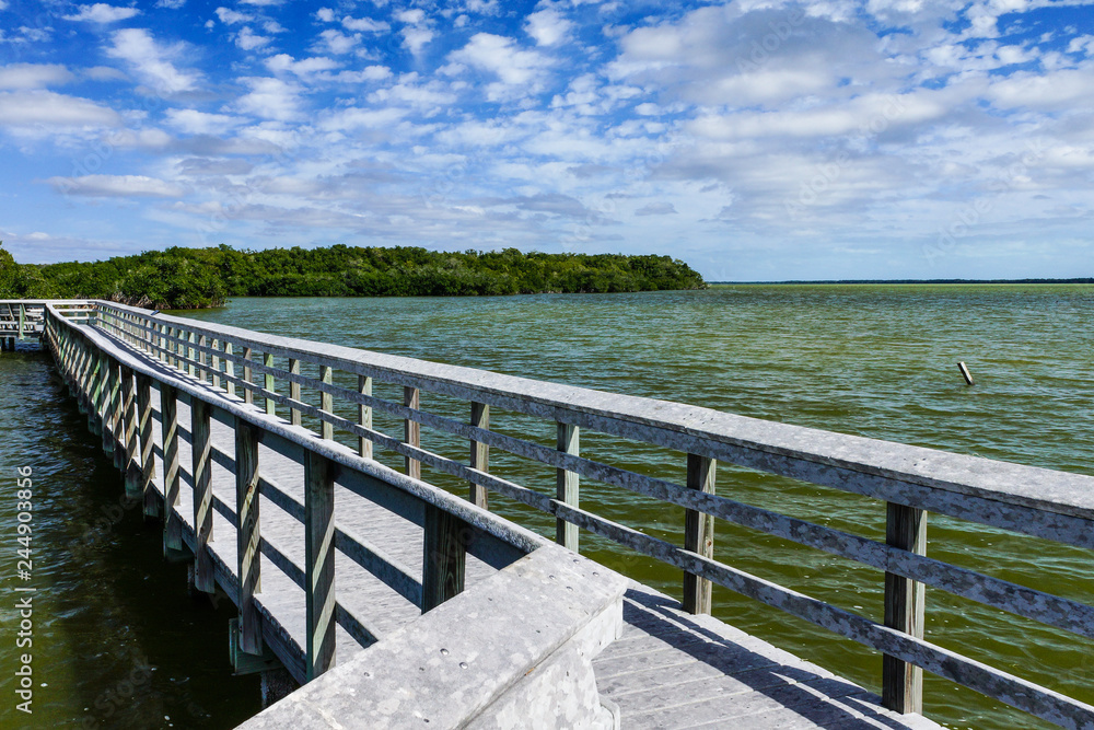 Fototapeta premium West Lake Trail, Everglades National Park, Florida, United States
