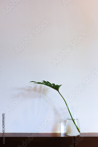 Green plant in a glass vase in nordic scandinavian japanese minimalism style ...