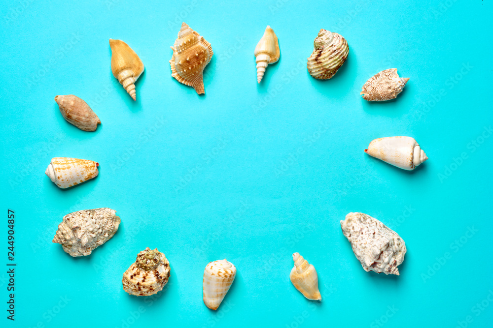Flat lay. Top view. Frame of shells of various kinds on a blue background. Seashells on a pastel background. Vacation concept Flat lay. Top view. Frame of shells of various kinds on a blue background. Seashells on a pastel background. Vacation concept