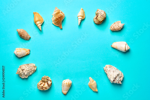 Flat lay. Top view. Frame of shells of various kinds on a blue background. Seashells on a pastel background. Vacation concept