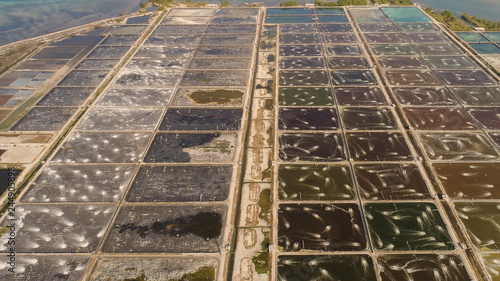shrimp farm, prawn farming with with aerator pump oxygenation water near ocean. aerial view fish farm with ponds growing fish and shrimp and other seafood. Fish hatchery pond aerial view aquaculture photo