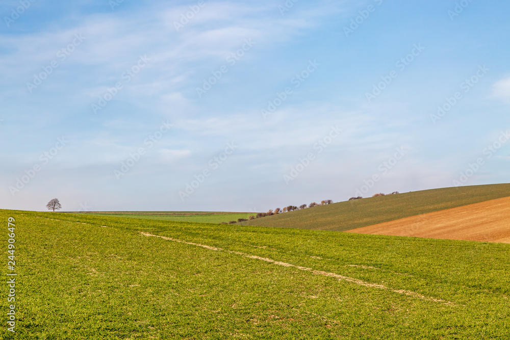 Fields in Sussex on a sunny winters day