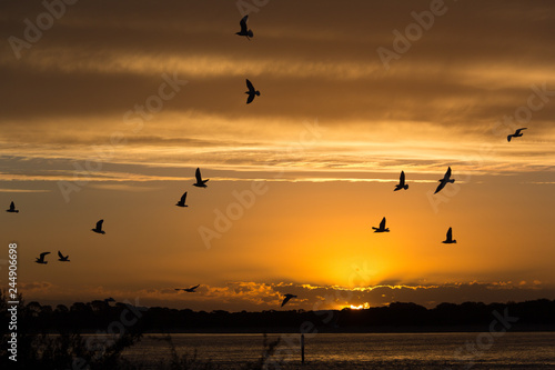 Sunset over Phillip Island