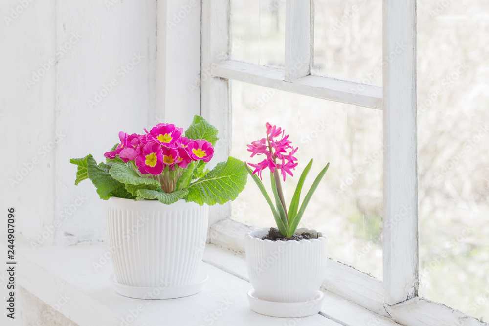 spring flowers on windowsill spring flowers on windowsill