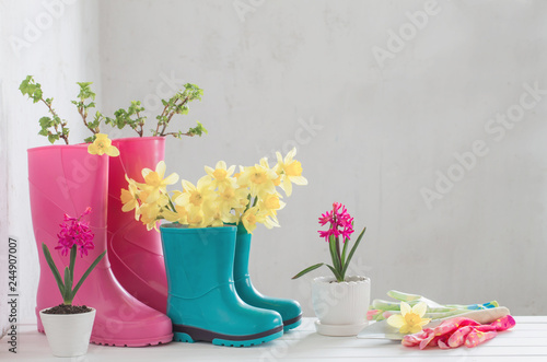 rubber boots and spring flowers on white background