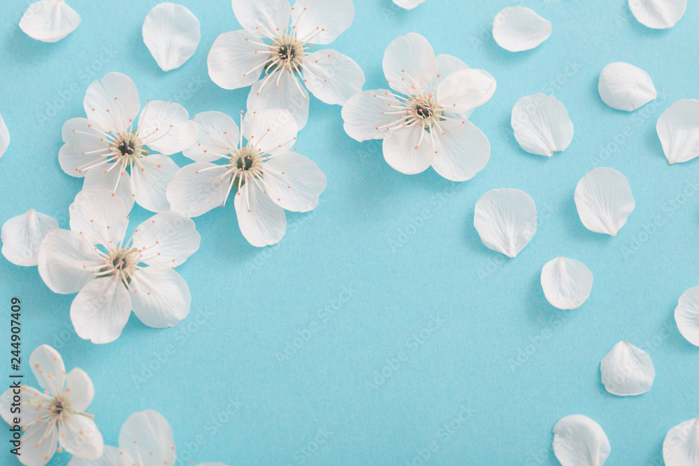 cherry flowers on paper background