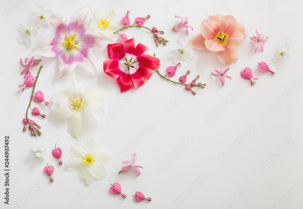 spring flowers on white background