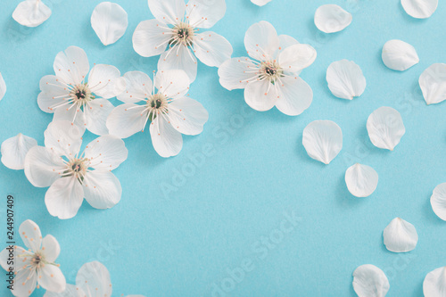 cherry flowers on paper background