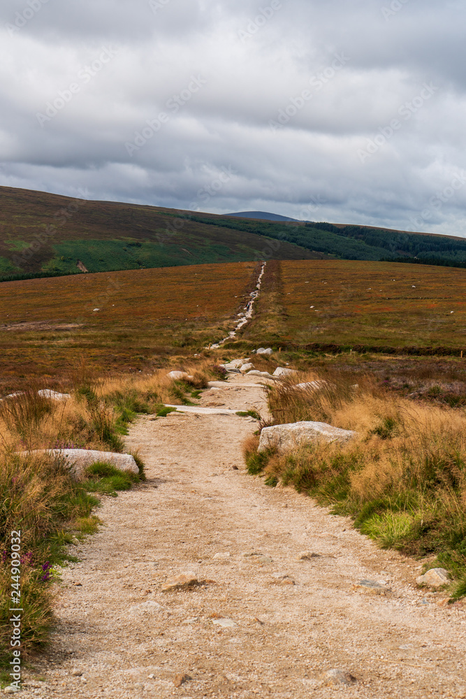 Hiking path through heathland bordered by large boulders and rolling hills under a typical Irish overcast sky. Dublin Mountains Way, Ireland.