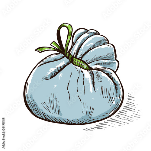 Cheese Burrata hand drawn engraving. Colored Vector illustration.
