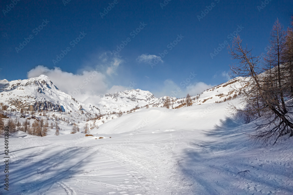 Fototapeta premium Panoramic view of the sunny snow-covered landscape of the Alpe Sangiatto above the Alpe Devero in Piedmont, Italy.