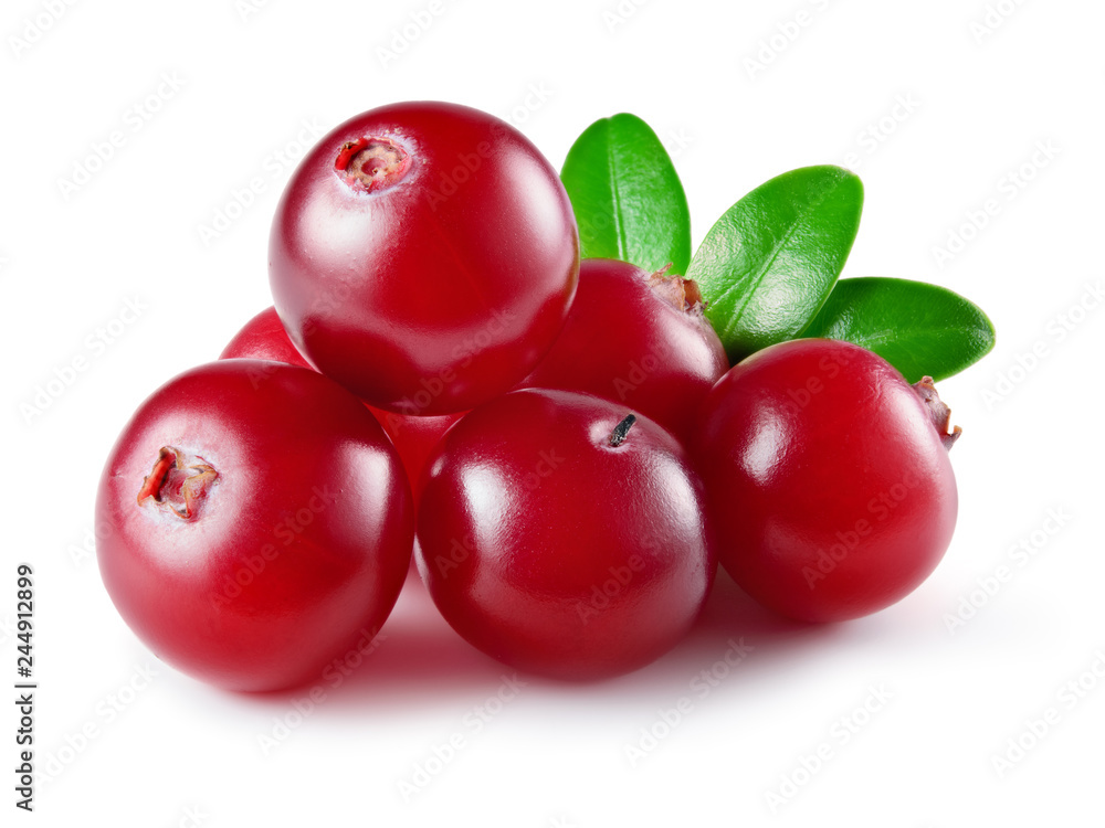 Cranberry with leaves isolated on white background. Full depth of field.