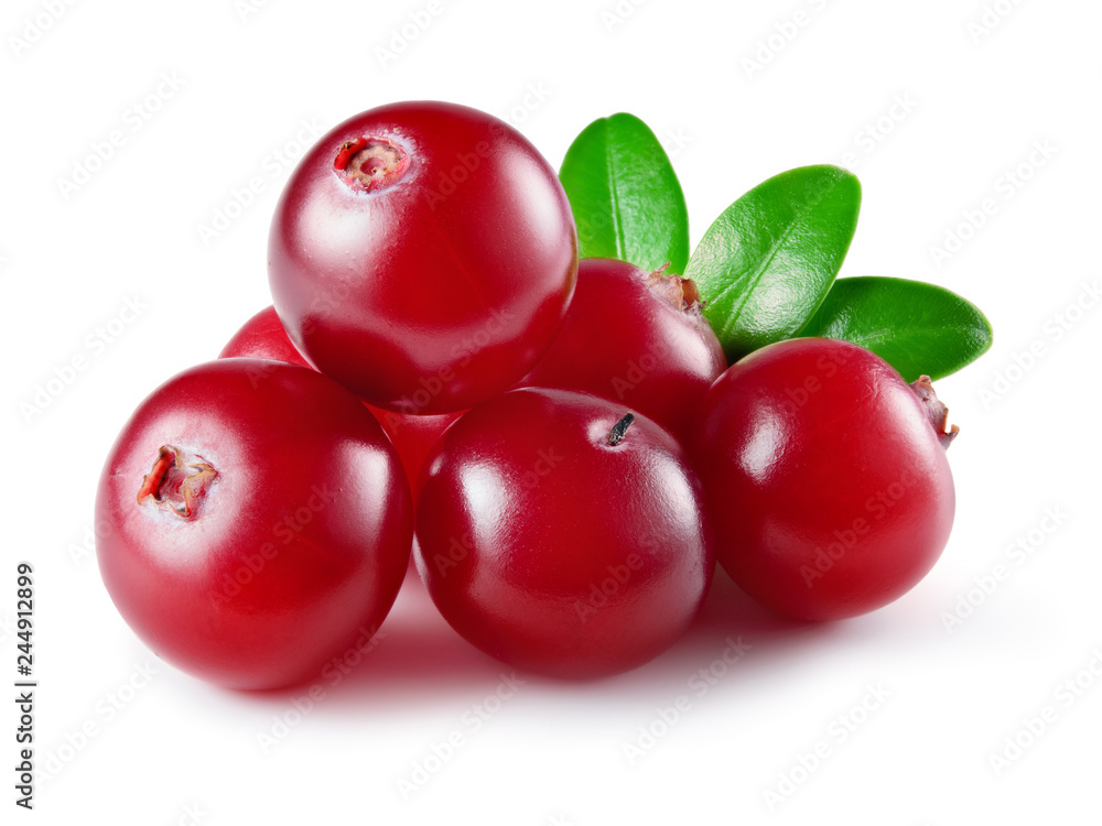 Cranberry with leaves isolated on white background. Full depth of field. Cranberry with leaves isolated on white background. Full depth of field.