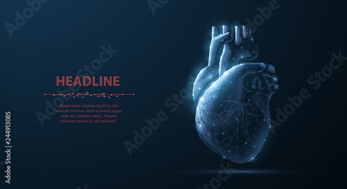 Heart. Abstract 3d vector human heart isolated on blue photo