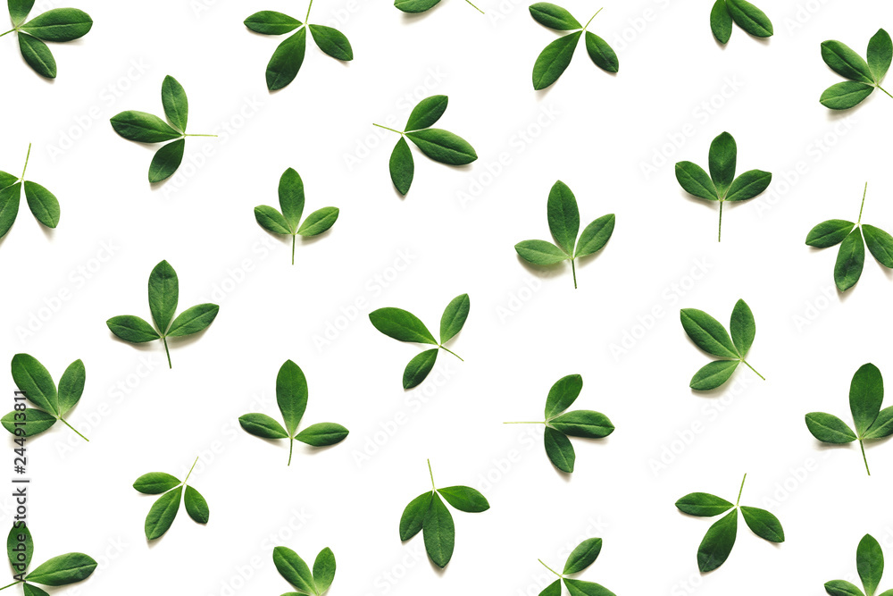 Spring Pattern Made Of Green Leaves Spring Pattern Made Of Green Leaves