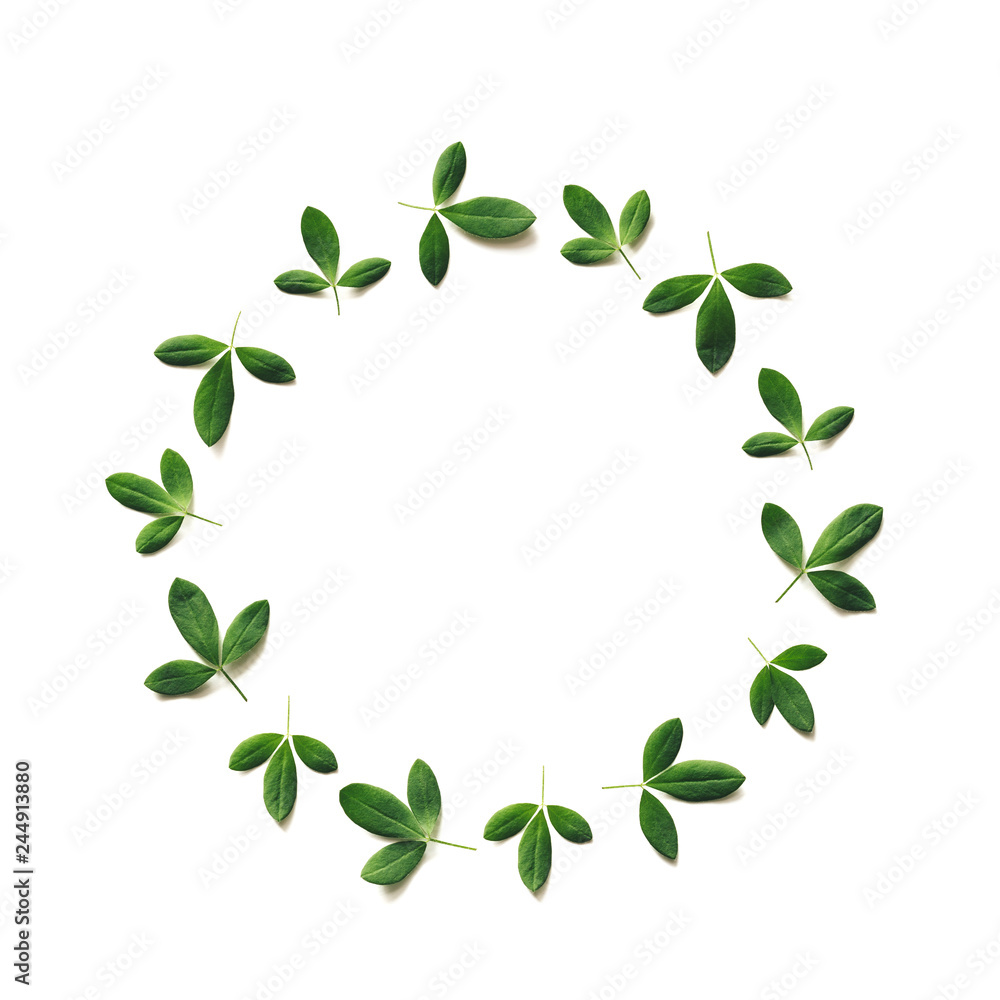 Green Leaves In The Shape Of A Circle On White Background